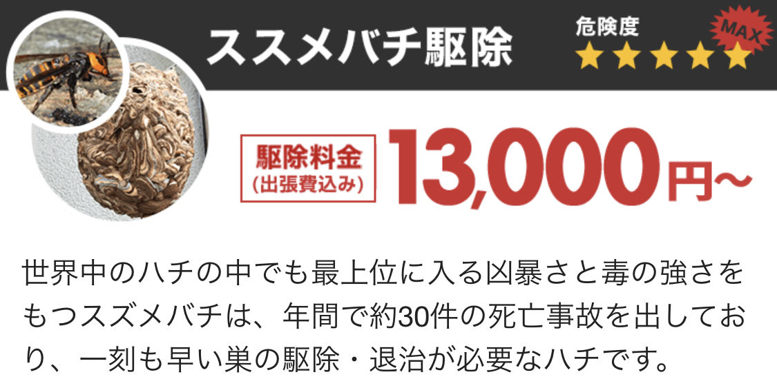 蜂 の 駆除 料金