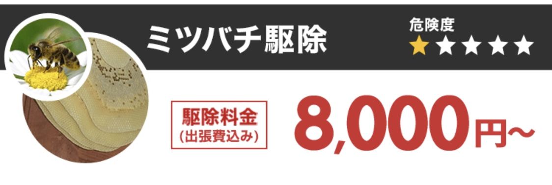 蜂 の 駆除 料金